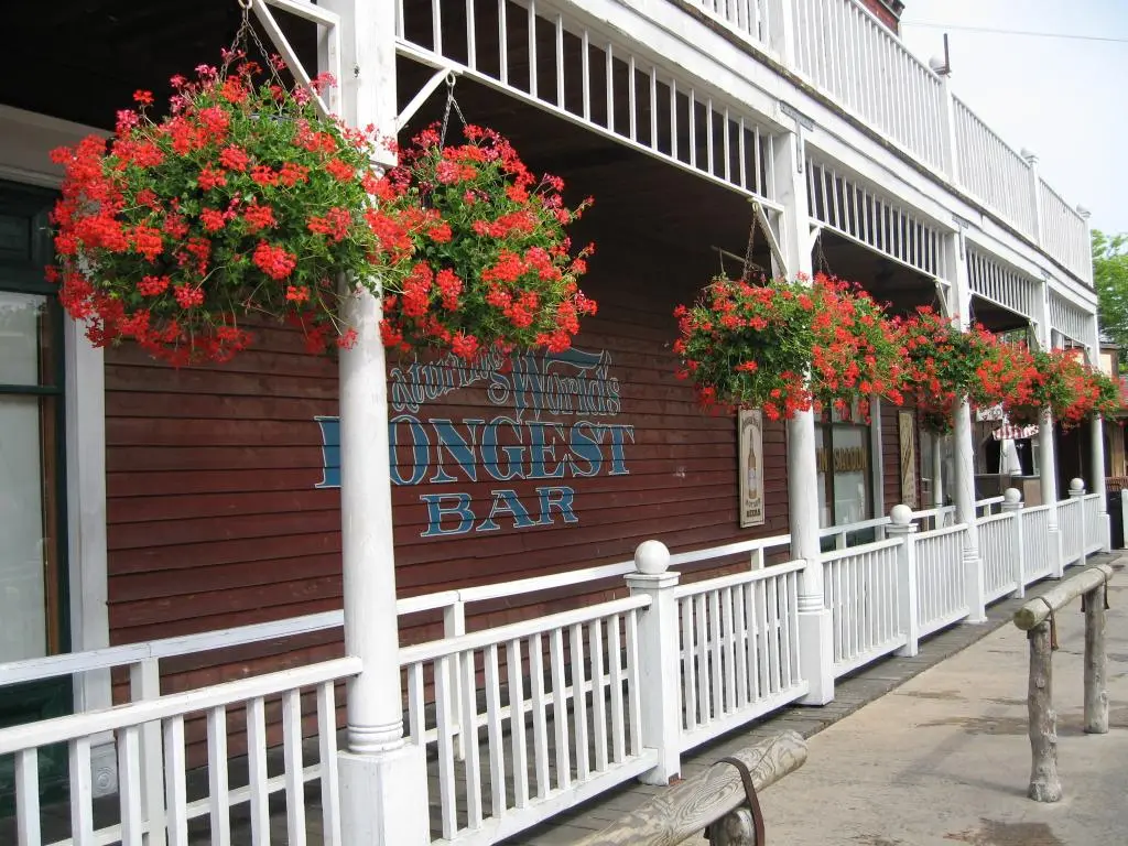 macetas colgantes de fibra de coco