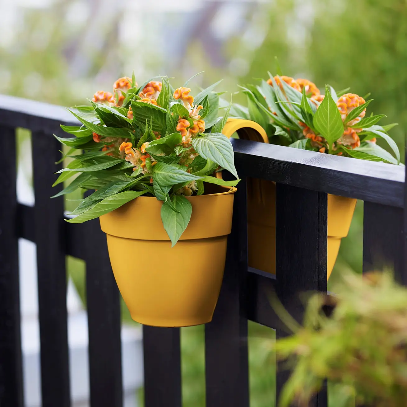 Maceta de plástico reciclado de Elho en Bordas Garden para balcón