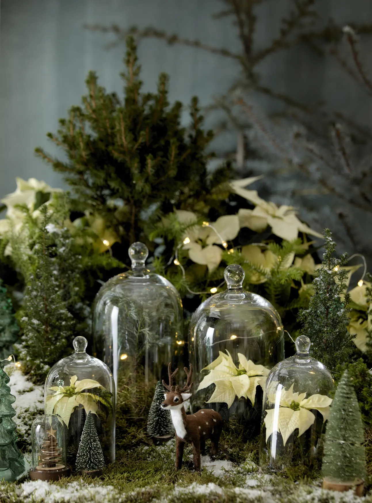 Detalle decorativo con poinsettias mini.